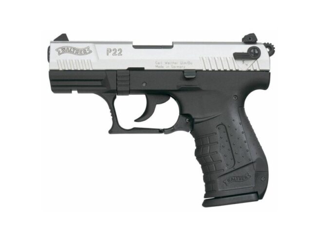 P22 CA Nickel