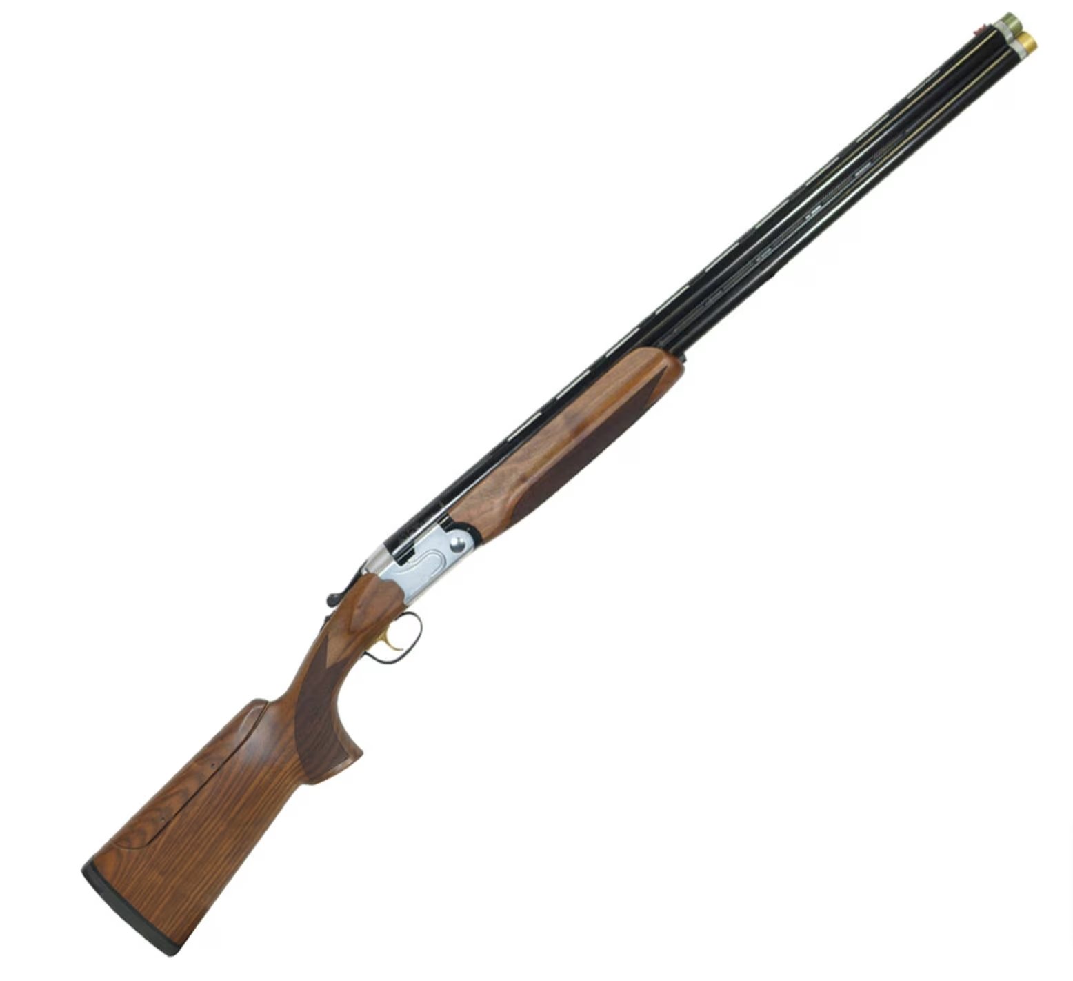 Test Shotgun 4